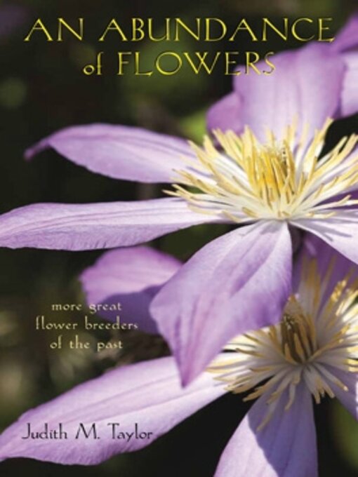 Title details for An Abundance of Flowers by Judith M. Taylor - Available